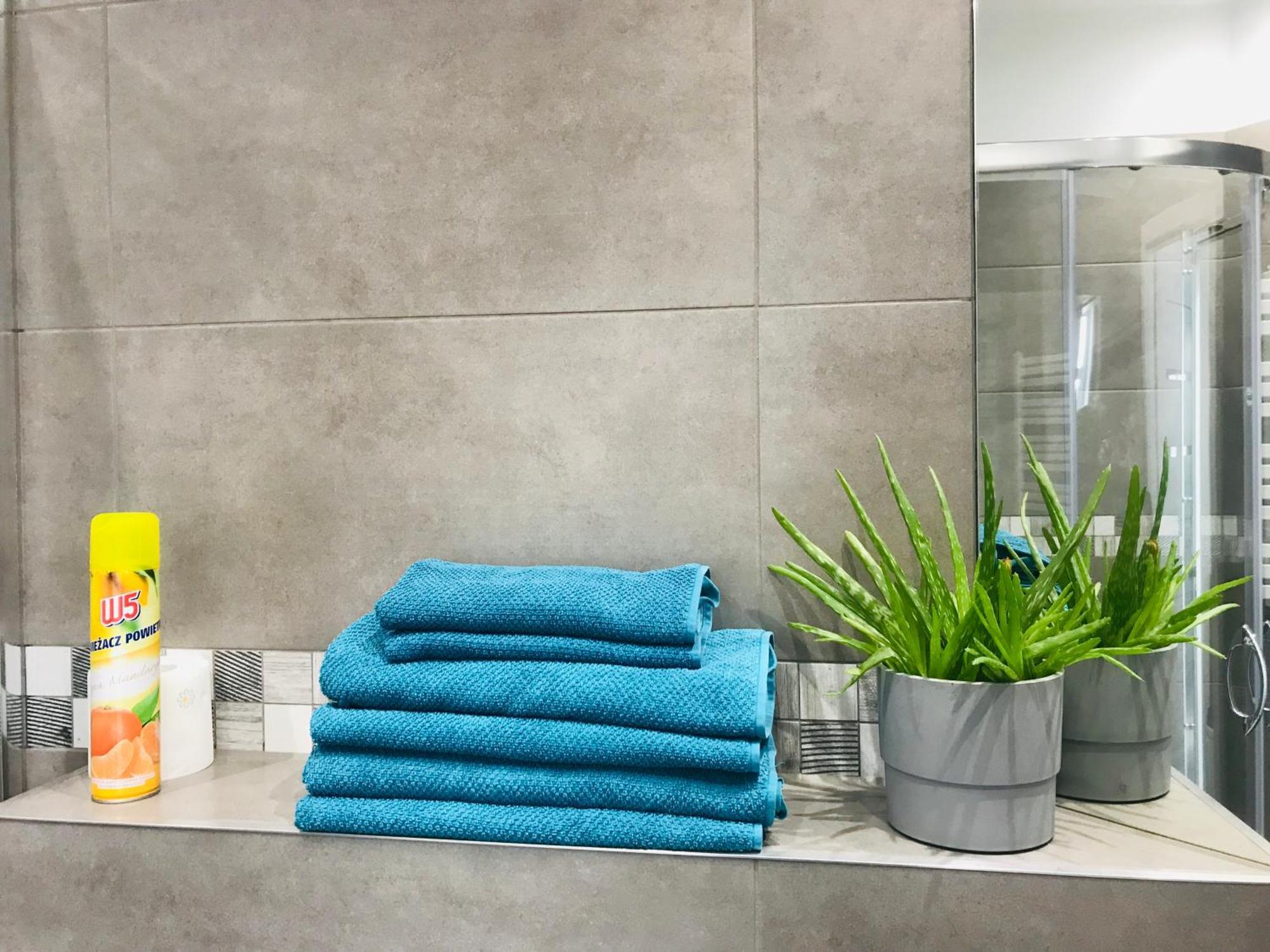 ורוצלב Property Apart - Ruska Centrum מראה חיצוני תמונה